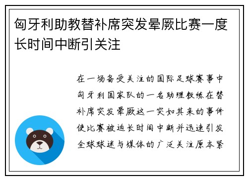 匈牙利助教替补席突发晕厥比赛一度长时间中断引关注